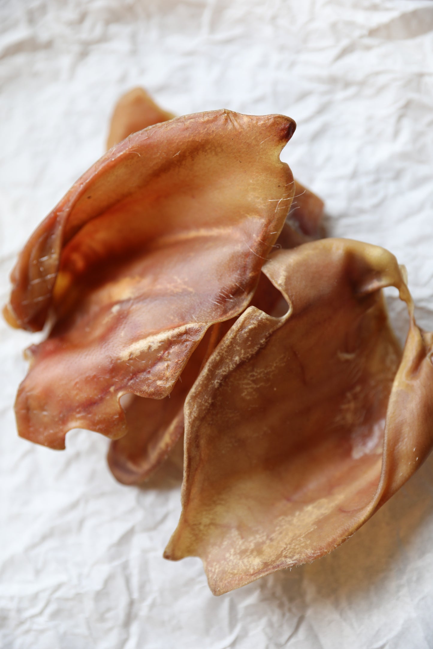 Pigs Ears